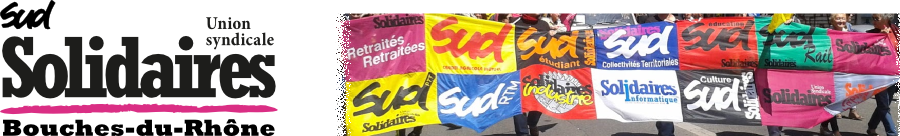 Logo Local syndical de l'union syndicale solidaire 13 MARSEILLE